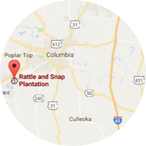 Rattle and Snap Plantation Mount Pleasant TN